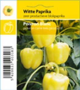 Paprika wit Belladonna F1 (tray 12 pot)